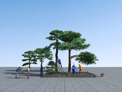 3d现代树木黑松树模型