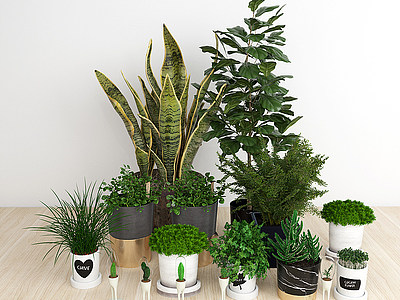 现代风格绿植盆栽模型