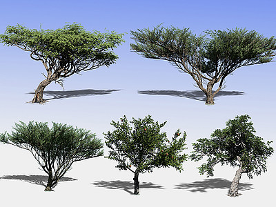 3d<font class='myIsRed'>现代景观</font>树模型