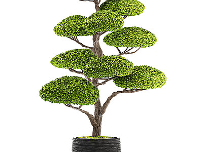 3d景观树盆栽模型