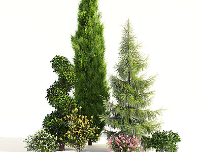 3d现代园林景观植物树木组合模型
