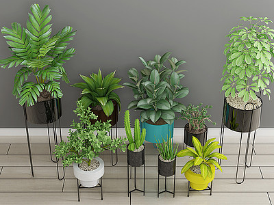 绿植盆栽植物模型