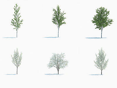 景观树木户外树木庭院树木模型3d模型