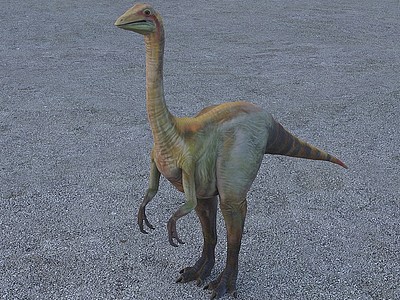 3d古似鸟龙恐龙模型