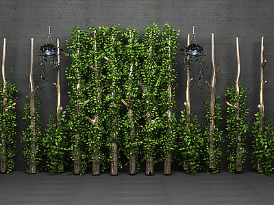 植物生长藤植物模型3d模型