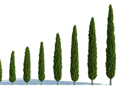 3d现代灌木<font class='myIsRed'>花园</font>植物园林植物模型