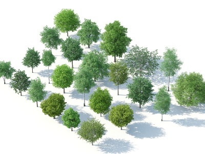 现代树木组合模型3d模型
