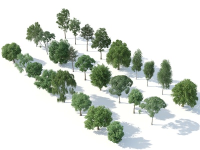 3d树木树木组合<font class='myIsRed'>园林景观</font>树模型