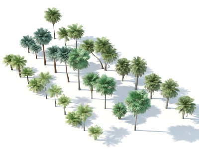 3d树木热带树木<font class='myIsRed'>热带植物</font>模型