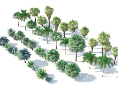 3d树木<font class='myIsRed'>热带树</font>木热带植物模型