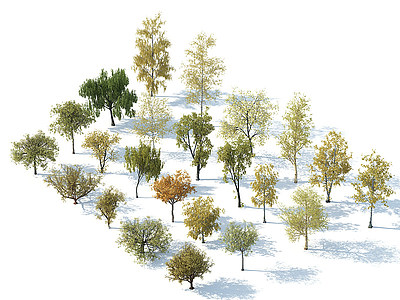 树木树木组合秋季树木模型3d模型