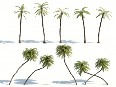 3d树木<font class='myIsRed'>热带植物</font>热带树木模型