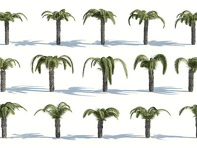 3d树木<font class='myIsRed'>热带植物</font>热带树木模型