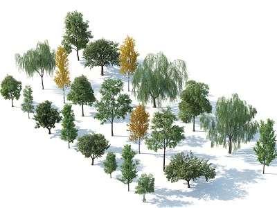 3d树木<font class='myIsRed'>树木组合</font>园林景观树模型