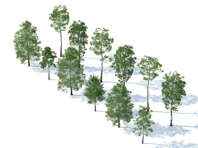 树木树木组合园林景观树模型