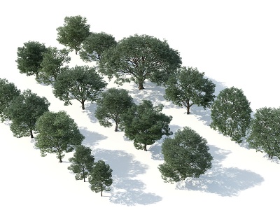 3d树木树木组合<font class='myIsRed'>园林景</font>观树模型