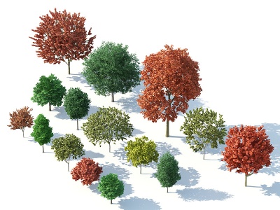 树木树木组合园林景观树模型3d模型