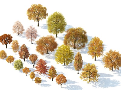 3d树木树木组合秋季树木模型
