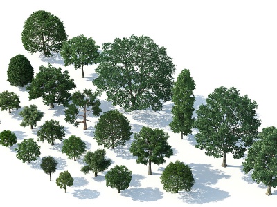 树木树木组合园林景观树模型3d模型