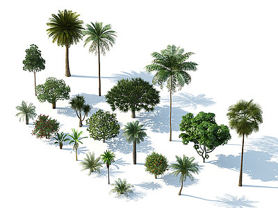 3d树木热带树木热带植物模型