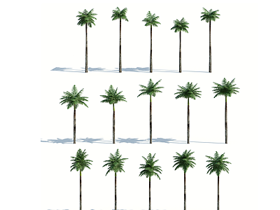 树木热带植物热带树木模型