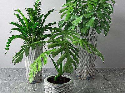 现代盆栽绿植模型3d模型