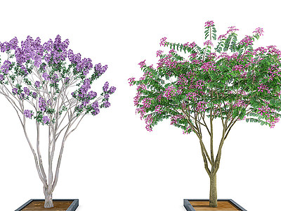 3d现代室外绿植树模型