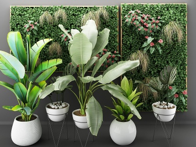 现代植物盆栽户外花草模型3d模型