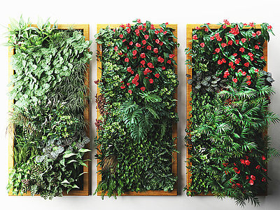 3d植物盆栽户外花草墙模型