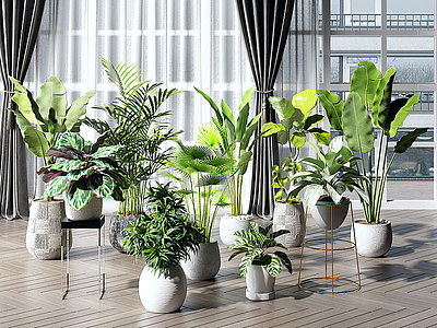 现代绿植盆栽组合模型3d模型