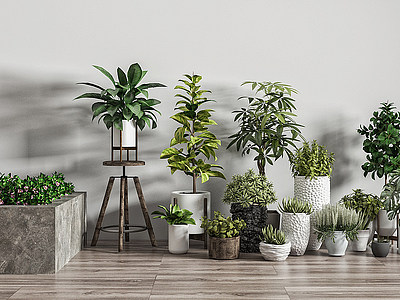 现代盆景绿植陶瓷花盆模型3d模型