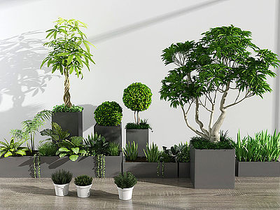现代绿植盆栽模型3d模型