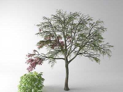 现代树灌木模型3d模型