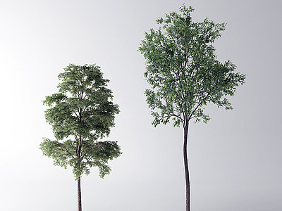 现代树树木模型3d模型