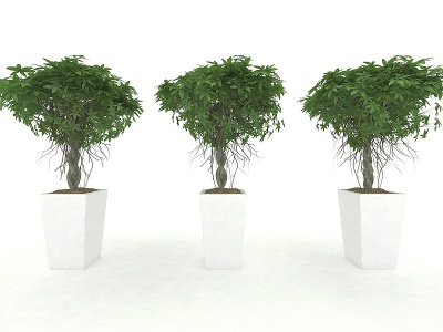 3d现代风格植物盆栽模型