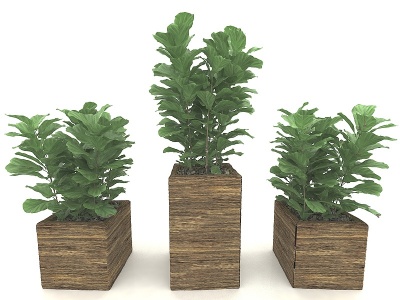 3d现代风格植物盆栽模型