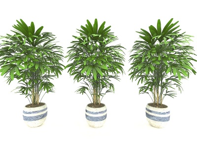 现代风格植物盆栽模型