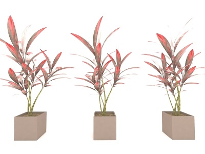 现代风格植物盆栽模型
