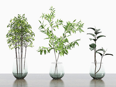 现代风格花卉花瓶绿植3d模型