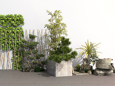 户外庭院景观植物绿植3d模型