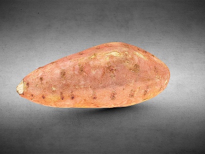 3d蔬菜红薯模型