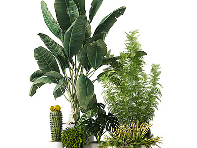 现代多种植物绿植盆栽模型