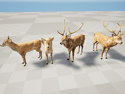 3d野生动物<font class='myIsRed'>鹿</font>模型