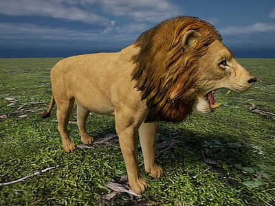 野生非洲草原肉食动物狮子模型