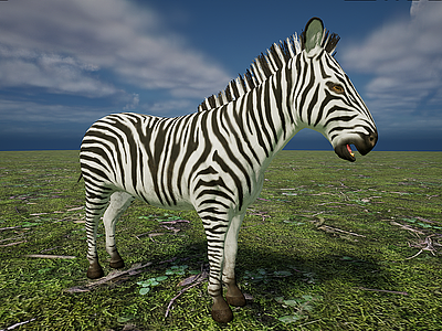 3d野生非洲草原素食动物斑马模型