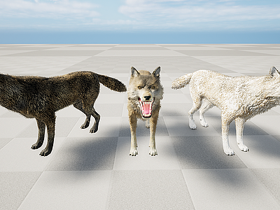野生深林肉食动物狼模型3d模型