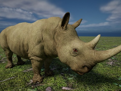 野生非洲草原素食动物犀牛模型3d模型