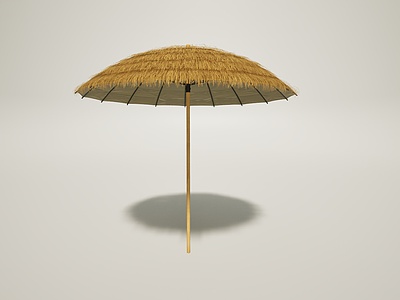 户外沙滩庭院遮阳伞模型3d模型