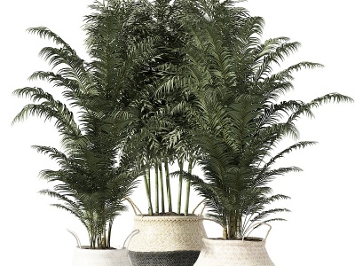 植物绿植盆栽模型3d模型
