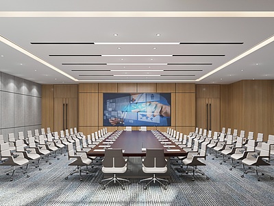3d大型集中会议室模型